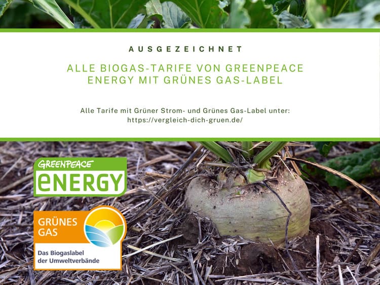 Zum 01. Januar 2020 lässt Greenpeace Energy sein Gasportfolio mit dem Grünes Gas-Label zertifizieren. Für die Herstellung des Biogases werden zum Beispiel biogene Reststoffe aus der Zuckerrübenproduktion verwendet.