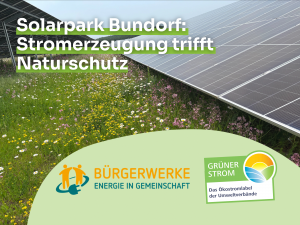 Blühende Wiesen unter Solarpaneelen