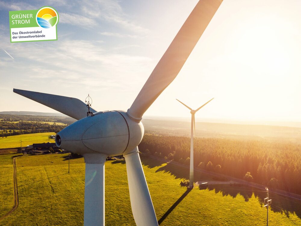 Photo of a wind farm at sunrise