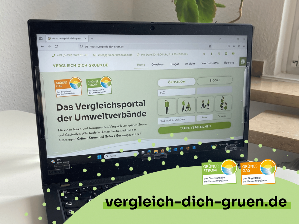 Screenshot of vergleich-dich-gruen.de (the comparison portal of the environmental associations)