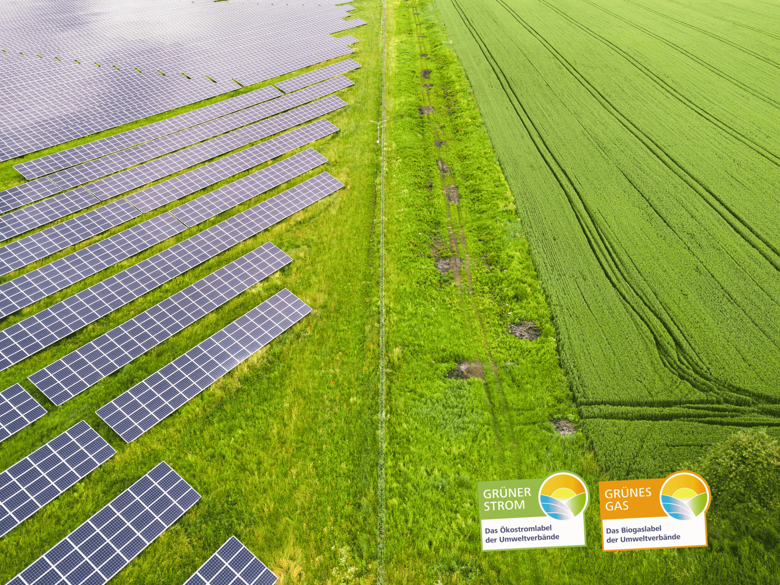 Solarkraftwerk neben grünem Feld