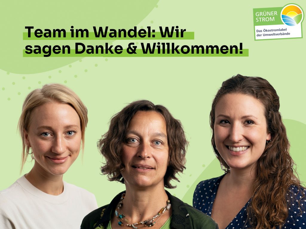 Bild von drei Frauen (von links nach rechts: Eva Rausch mit blonden Haaren und Zopf, Barbara Fricke mit lockigem Bob und bunter Kette und Nina Cernohorsky mit langen braunen Haaren und gepunktem Oberteil) auf grünem Hintergrund und der Aufschrift "Team im Wandel: Wir sagen Danke & Willkommen!"
