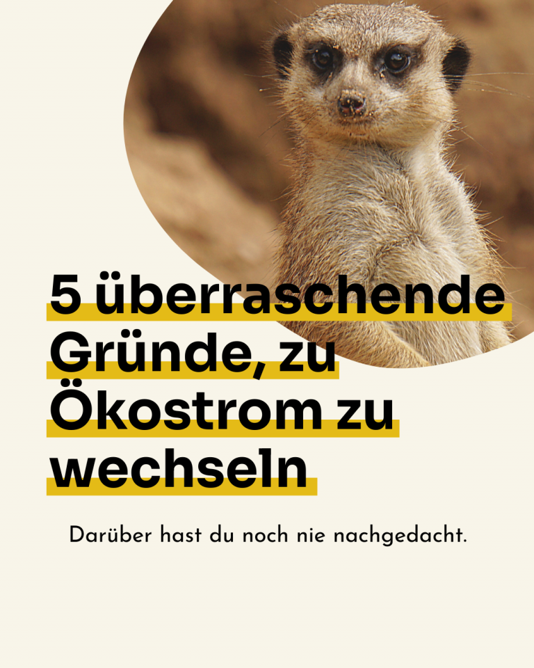 Überraschende Gründe zum Ökostromwechsel