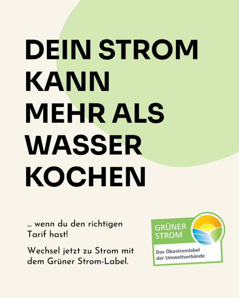 Grüner Strom kann mehr als Wasser kochen